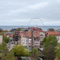 Зеленоградск с высоты :: Gen 