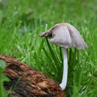 Удобное место... :: Николай Саржанов Удобное место... :: Николай Саржанов