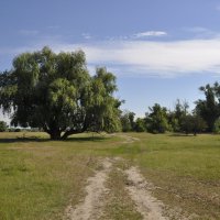 Мои дороги. :: Виктор 