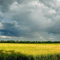 Лето. :: Владимир 