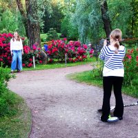 Когда цветут рододендроны.. :: Aida10 Когда цветут рододендроны.. :: Aida10