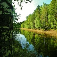 природа :: Владимир природа :: Владимир