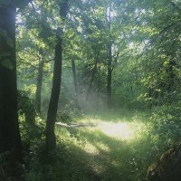 После дождя :: Татьяна 