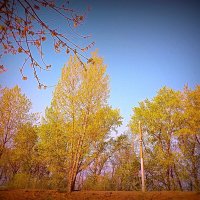 Май. :: Владимир Драгунский