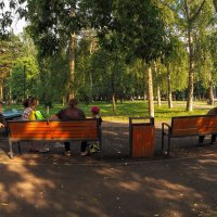 Прогулки в Летнем Парке :: юрий поляков