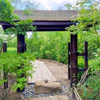 "Ива-Парк" :: Любовь Сахарова