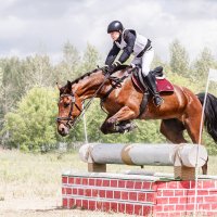 Кросс :: SanSan 