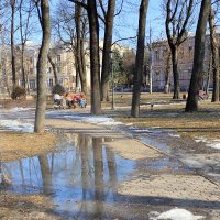 Весна в Гомельском парке :: Василий Королёв Весна в Гомельском парке :: Василий Королёв