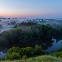 ** :: Виталий Емельянов