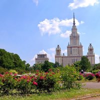 В Ботаническом саду МГУ :: Татьяна Тюменка