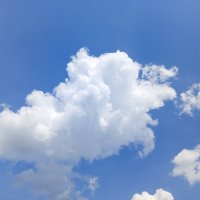 смотрит в бинокль :: Владимир смотрит в бинокль :: Владимир