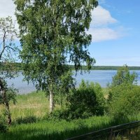 Кировск. Июнь :: Наталья Герасимова Кировск. Июнь :: Наталья Герасимова