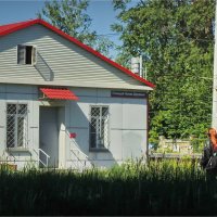Новая Деревня :: sv.kaschuk 