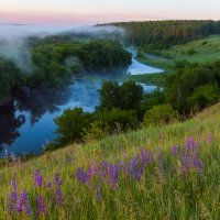 **** :: Виталий Емельянов **** :: Виталий Емельянов