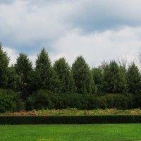 Рамонь  парк :: Елена Шаламова