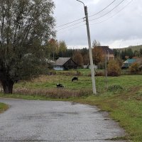 Деревенская жизнь :: ИРЭН@ .