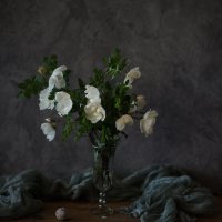 С  белым шиповником... :: Liliya 