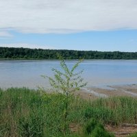 Нева :: Наталья Герасимова Нева :: Наталья Герасимова