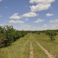 Мои дороги. :: Виктор Мои дороги. :: Виктор