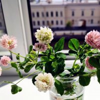 Просто клеверок.Ах,лето... :: Ирина Просто клеверок.Ах,лето... :: Ирина