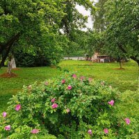 Пейзажное :: Галина Бобкина Пейзажное :: Галина Бобкина