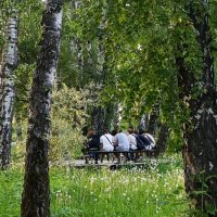 "Заговор " ! :: Мила Бовкун