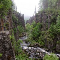 Туманное утро в ущелье реки Ук :: Сергей Герасимов