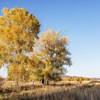 Усть-Каменогорск :: Дмитрий 