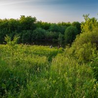 Рыбалка :: Александр Синдерёв Рыбалка :: Александр Синдерёв