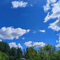 защитники :: Владимир защитники :: Владимир