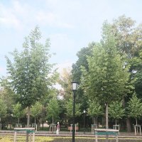 Almaty :: Murat Bukaev 