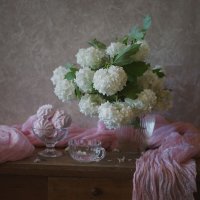 С калиной Бульденеж... :: Liliya С калиной Бульденеж... :: Liliya
