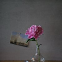 С пионом... :: Liliya 