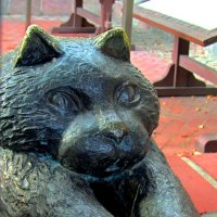 Кёнигсбергский кот :: Сергей Карачин