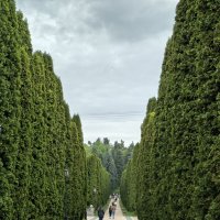 В Долине Роз :: Виктор 