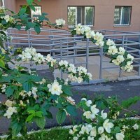 у подъезда :: Арсений Корицкий у подъезда :: Арсений Корицкий
