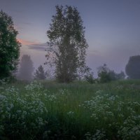 **** :: Елизавета .