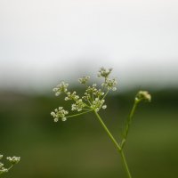 ___ :: Yuriy V