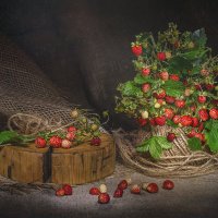 Аромат лета :: Svetlana Galvez