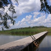 На реке :: Оксана Новик