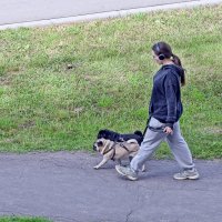 В ногу :: Валерий Иванович