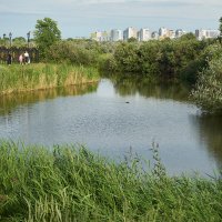 Река Подстёпновка, Южный город, Самара :: Олег Манаенков Река Подстёпновка, Южный город, Самара :: Олег Манаенков