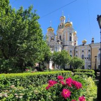 Пионы у Владимирского собора. :: Ольга Пионы у Владимирского собора. :: Ольга