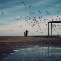 Птичий патруль. :: Анатолий Щербак