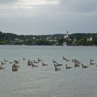 Штарнбергское озеро — озеро в предгорьях Альп ... :: Галина Штарнбергское озеро — озеро в предгорьях Альп ... :: Галина