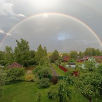 Моему другу Толе. :: tatiana 