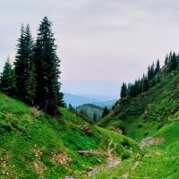Горы в июне :: Георгиевич Горы в июне :: Георгиевич
