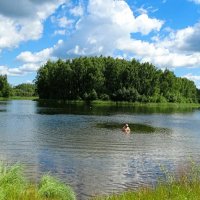 Лето в конце июня. :: Милешкин Владимир Алексеевич 