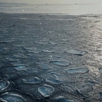 Про структуру минувшей зимы. :: Анатолий Щербак