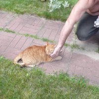 Друг с котом. :: Михаил Елочкин Друг с котом. :: Михаил Елочкин